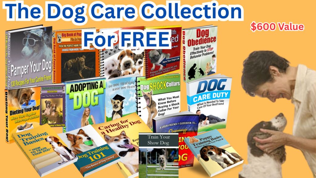 The Dog Care Collection