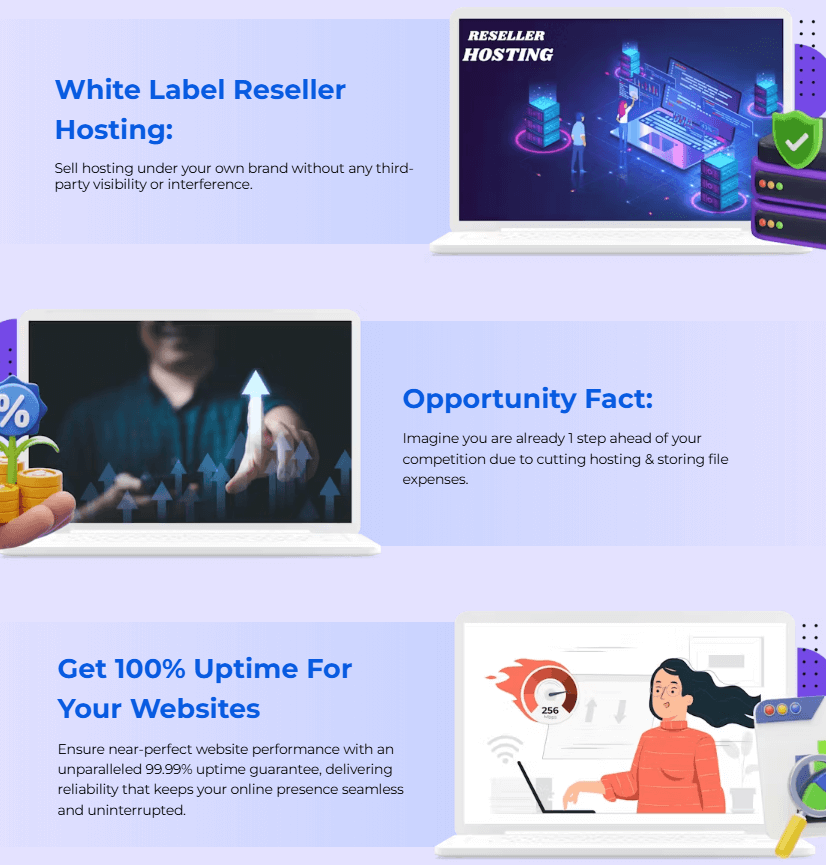 Resell Hosting Review