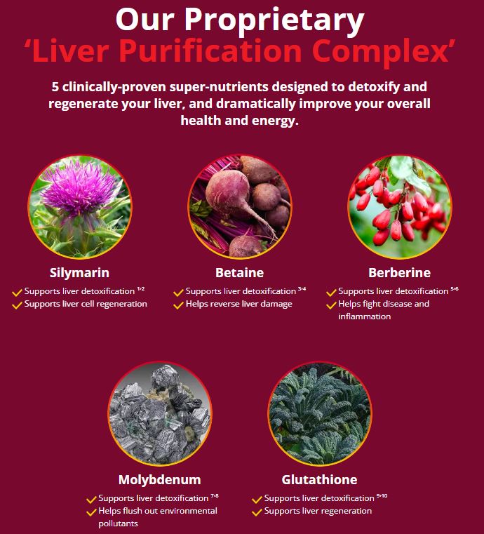 hepatoburn review