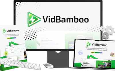 VidBamboo Review