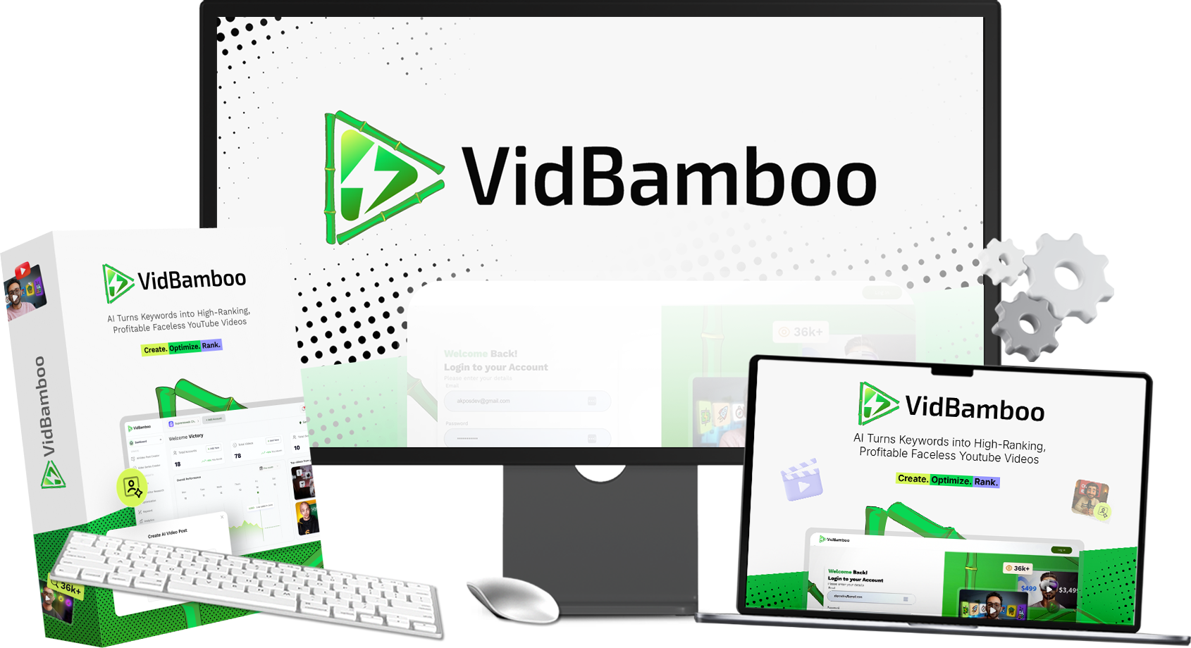 Vidbamboo Review